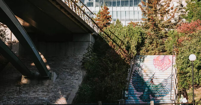 Prepare for your Consultation with a Psychotherapist image