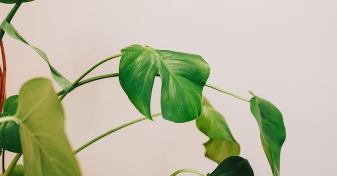 Why Mental Health Support Is So Important for Teens. image