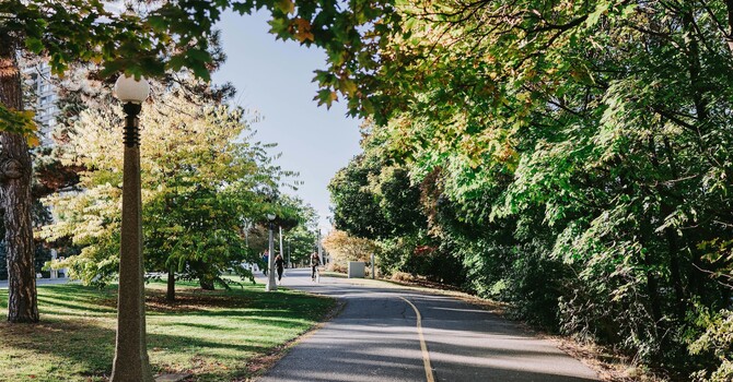 Navigating ‘Sunshine Guilt’ image